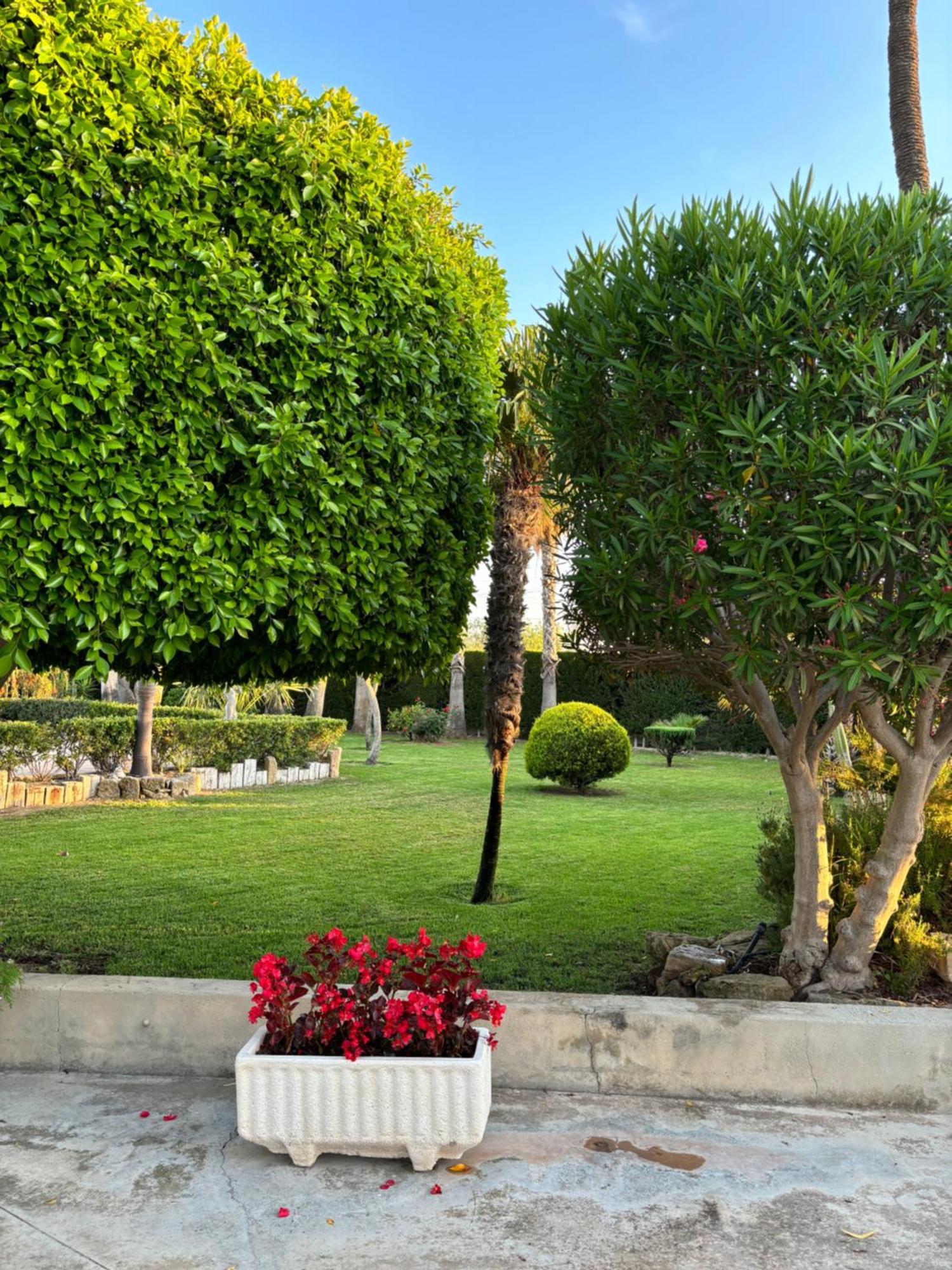 Casa Joan Villa Elche Luaran gambar