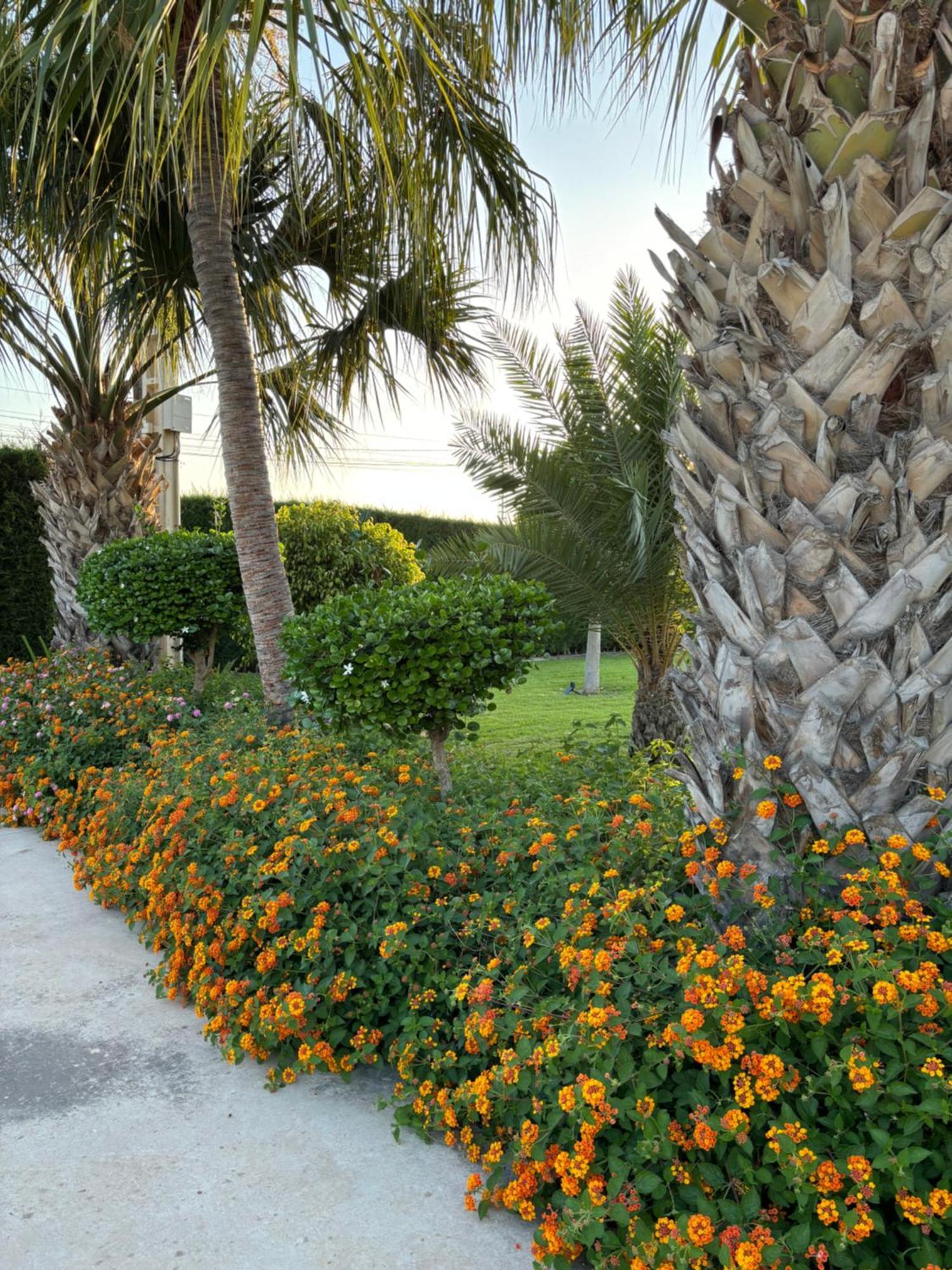 Casa Joan Villa Elche Luaran gambar