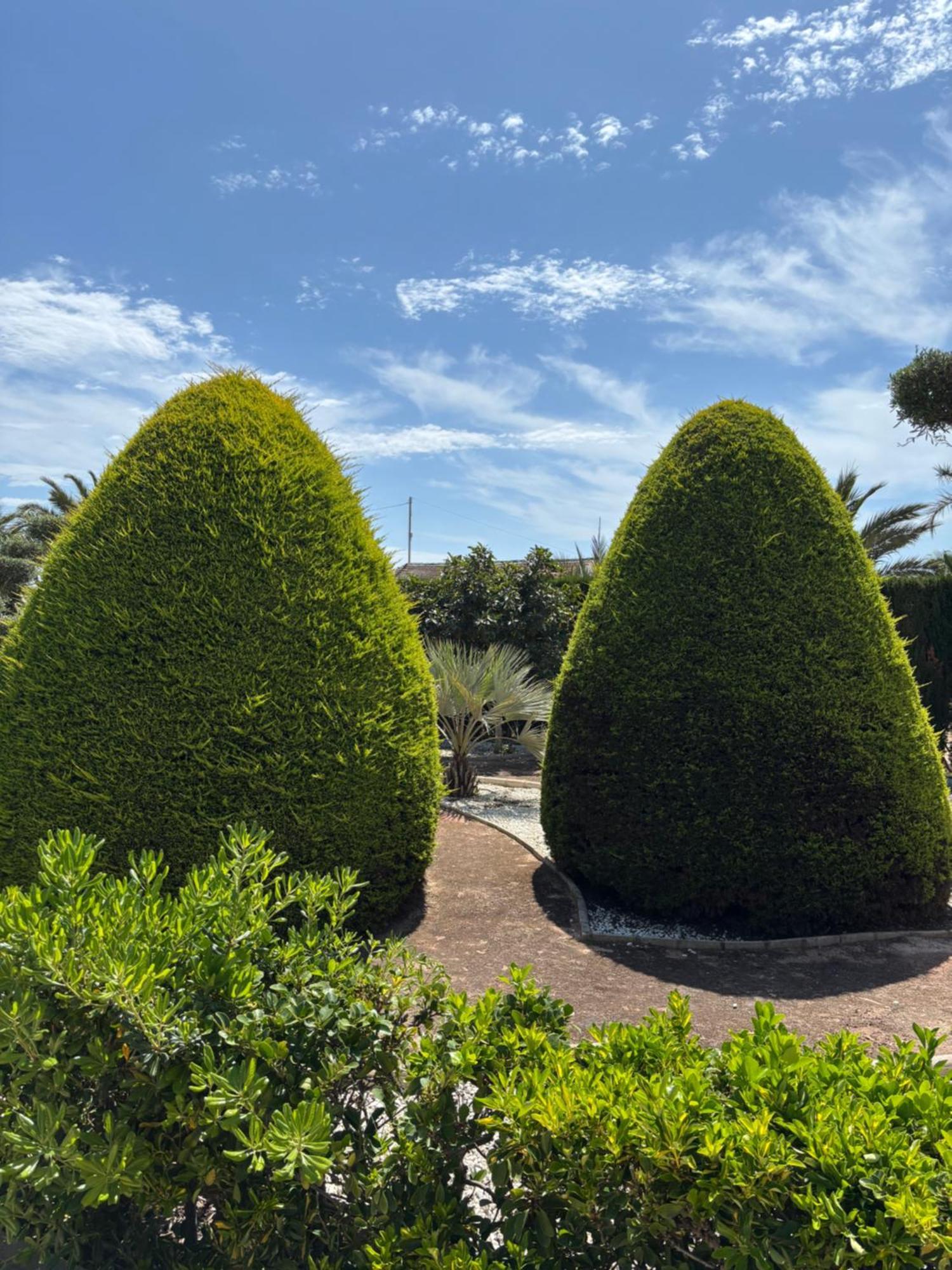 Casa Joan Villa Elche Luaran gambar